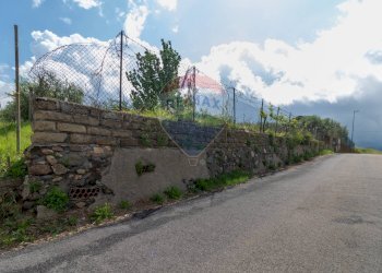 Giardino - Agricultural land Via Colle Pallavicini
40, Zagarolo - photo 28