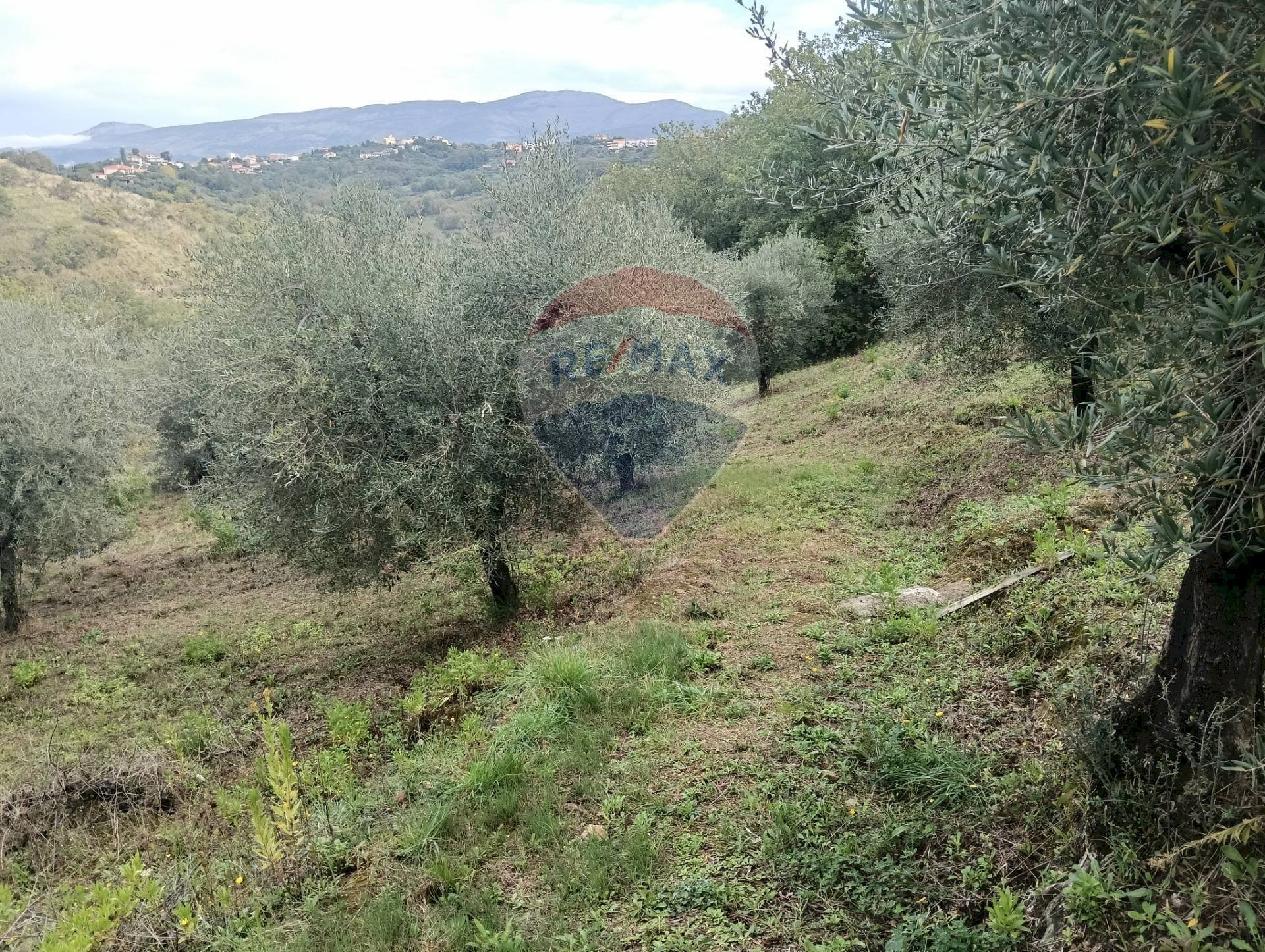 Vista delle montagne - Terreno agricolo VIA SOLACCIANO
 
SNC, Minturno - foto 2