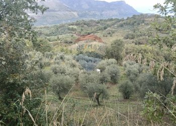 Vista delle montagne - Terreno agricolo VIA SOLACCIANO
 
SNC, Minturno - foto 1