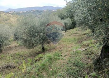 Vista delle montagne - Terreno agricolo VIA SOLACCIANO
 
SNC, Minturno - foto 2