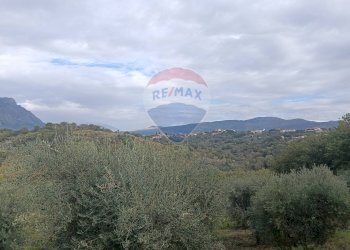 Vista delle montagne - Terreno agricolo VIA SOLACCIANO
 
SNC, Minturno - foto 6