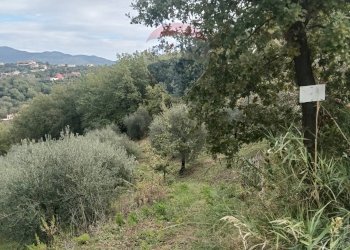 Vista delle montagne - Terreno agricolo VIA SOLACCIANO
 
SNC, Minturno - foto 7