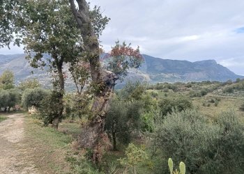 Vista delle montagne - Terreno agricolo VIA SOLACCIANO
 
SNC, Minturno - foto 8