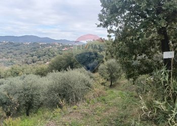Vista delle montagne - Terreno agricolo VIA SOLACCIANO
 
SNC, Minturno - foto 10