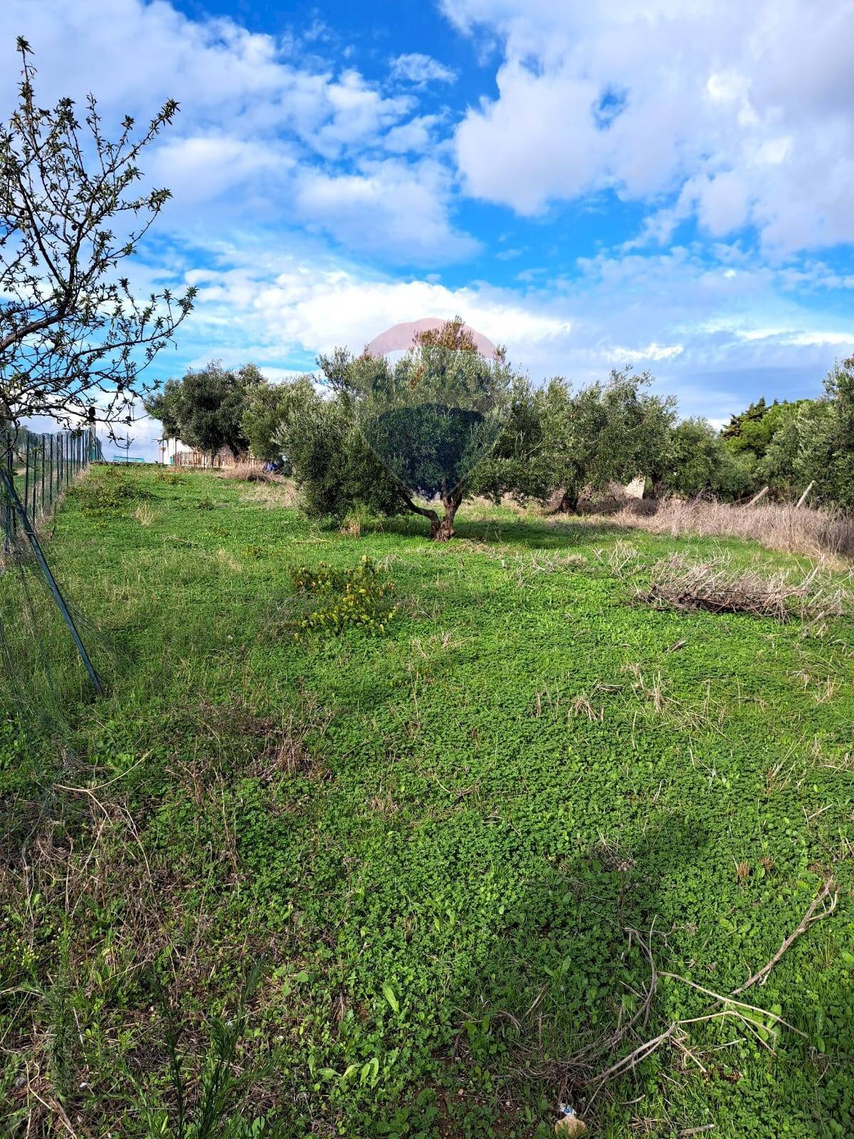 Giardino - Terreno agricolo contrada accia
 
snc, Bagheria - foto 1