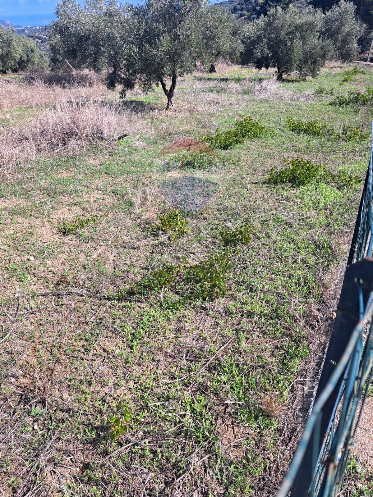 Vista delle montagne - Terreno agricolo contrada accia
 
snc, Bagheria - foto 2