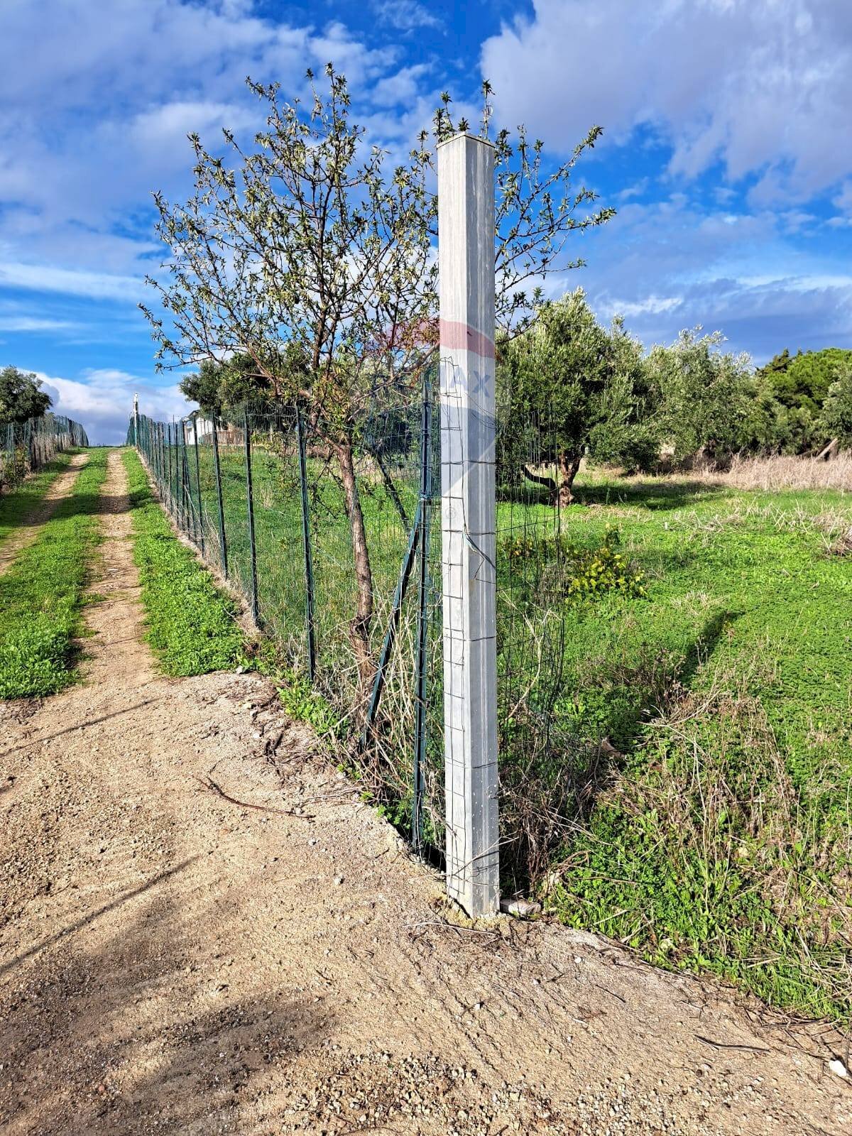 Giardino - Terreno agricolo contrada accia
 
snc, Bagheria - foto 3