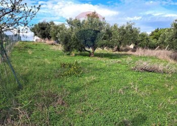 Giardino - Agricultural land contrada accia
 
snc, Bagheria - photo 1