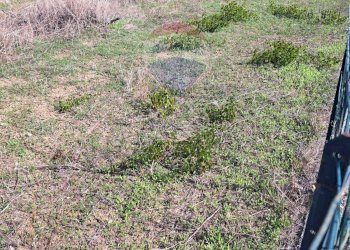 Vista delle montagne - Agricultural land contrada accia
 
snc, Bagheria - photo 2