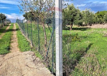 Giardino - Agricultural land contrada accia
 
snc, Bagheria - photo 3