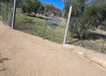 Vista delle montagne - Agricultural land contrada accia
 
snc, Bagheria - photo 7