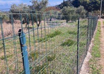 Vista delle montagne - Agricultural land contrada accia
 
snc, Bagheria - photo 8