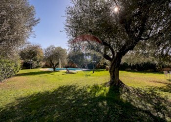 Giardino - Casa semi indipendente Via Veientana
257 a, Roma - foto 30