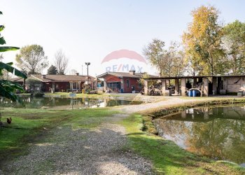 Casa all\'aperto - Attività Commerciale Castel Goffredo - foto 4