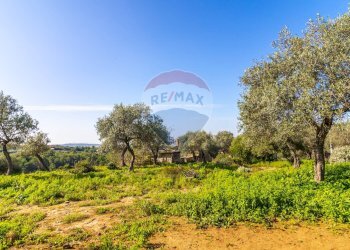 Giardino - Terreno edificabile Sassari - foto 6