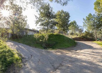 Foto 19 - Casa semi indipendente C.da Cozzo Valente
 
snc, Castelbuono - foto 19