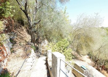 giardino - Villa Vicinale Piandanna Molafà
 
3, Sassari - foto 28