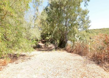 giardino - Villa Vicinale Piandanna Molafà
 
3, Sassari - foto 33