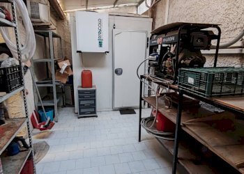 Foto 21 - Commercial Activity VIALE VITTORIO VENETO
 
52, Floridia - photo 21