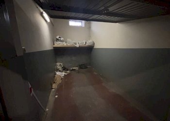 Cantina - Box Alba - foto 2