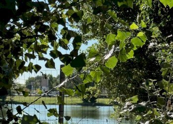 Foto 11 - Terreno edificabile Via Faentina Nord, Russi - foto 11