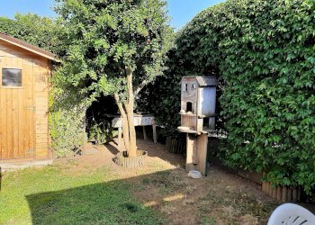 Foto 5 - Casa indipendente Via Sarzanese Valdera, Buti - foto 5