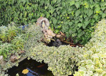 Foto 8 - Casa indipendente Via Sarzanese Valdera, Buti - foto 8