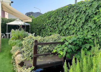 Foto 9 - Casa indipendente Via Sarzanese Valdera, Buti - foto 9