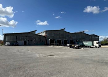 Foto 3 - Capannone Pisa - foto 3