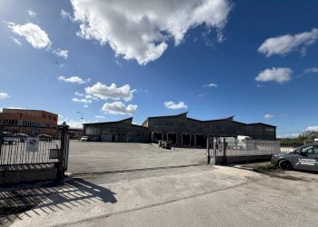 Foto 4 - Capannone Pisa - foto 4