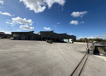 Foto 5 - Capannone Pisa - foto 5