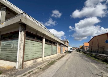 Foto 12 - Capannone Pisa - foto 12