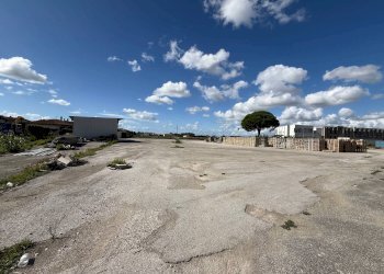 Foto 14 - Capannone Pisa - foto 14