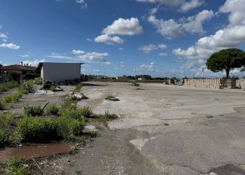 Foto 15 - Capannone Pisa - foto 15