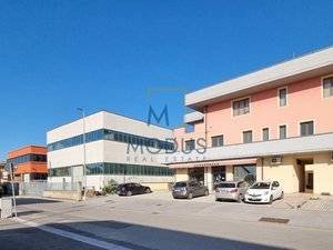 Foto 3 - Shed Via del Catano
 
400, Monsummano Terme - photo 3