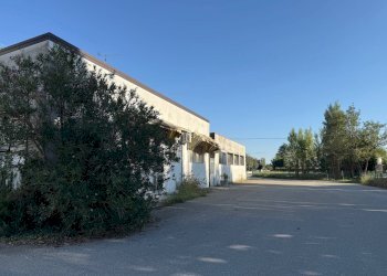 Foto 5 - Capannone Via Bentivogli
119, Molinella - foto 5