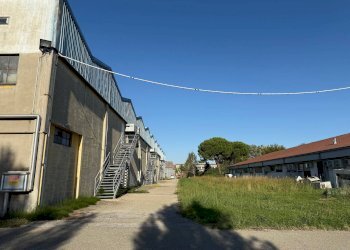 Foto 6 - Capannone Via Bentivogli
119, Molinella - foto 6