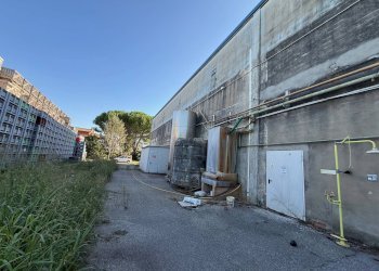 Foto 7 - Capannone Via Bentivogli
119, Molinella - foto 7