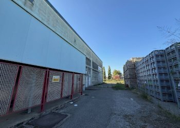 Foto 9 - Capannone Via Bentivogli
119, Molinella - foto 9