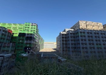 Foto 10 - Capannone Via Bentivogli
119, Molinella - foto 10