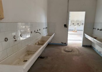 Foto 18 - Capannone Via Bentivogli
119, Molinella - foto 18