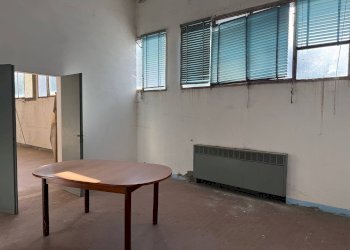 Foto 20 - Capannone Via Bentivogli
119, Molinella - foto 20