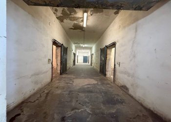 Foto 23 - Capannone Via Bentivogli
119, Molinella - foto 23