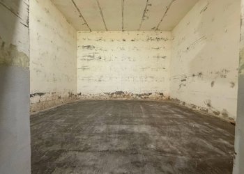 Foto 24 - Capannone Via Bentivogli
119, Molinella - foto 24