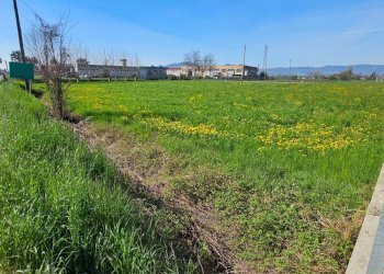 Foto 3 - Terreno edificabile Villaverla - foto 3