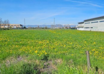 Foto 4 - Terreno edificabile Villaverla - foto 4