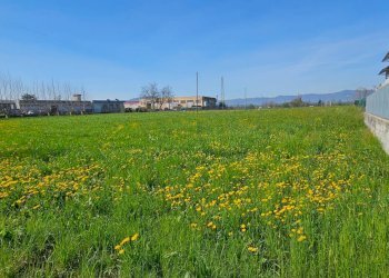 Foto 7 - Terreno edificabile Villaverla - foto 7