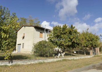 Foto 7 - Rustico Località Comune, Lucignano - foto 7