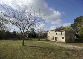 Foto 1 - Rustico Località Comune, Lucignano - foto 1