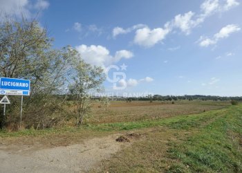 Foto 26 - Rustico Località Comune, Lucignano - foto 26